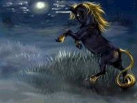 Златогривый Чёрный Единорог. Он живёт в лесу. Обычно его можно увидеть ночью.